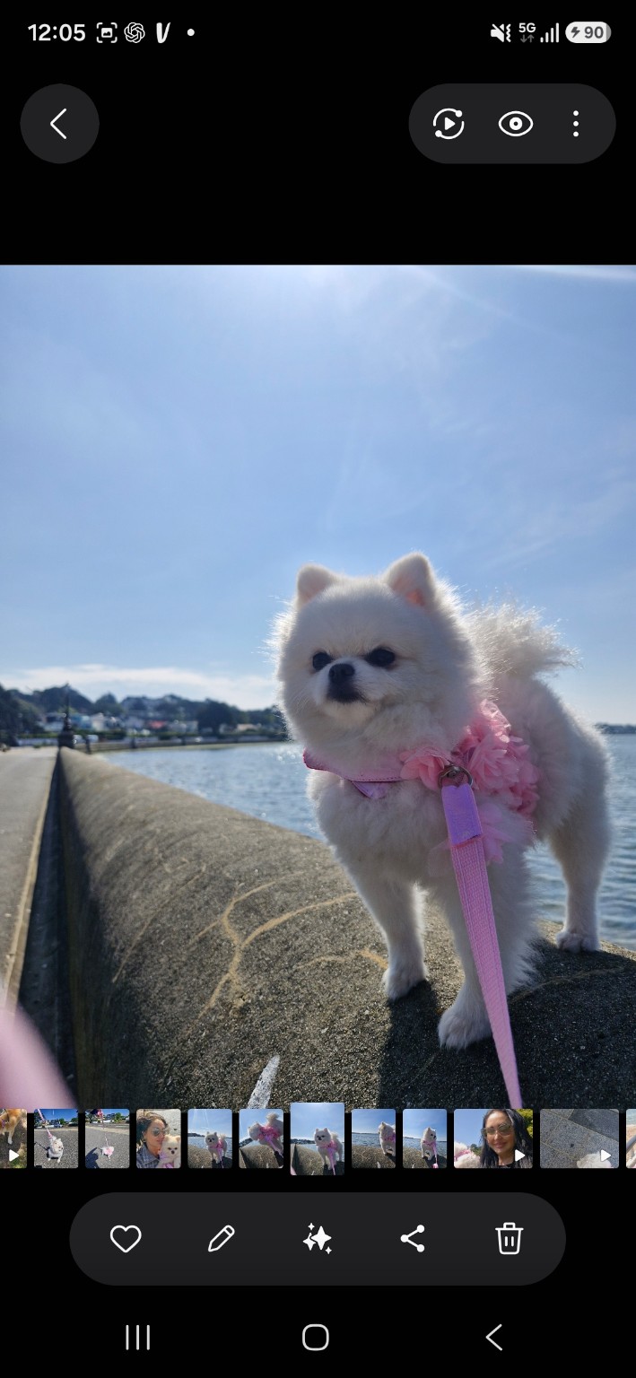 Miso travelling