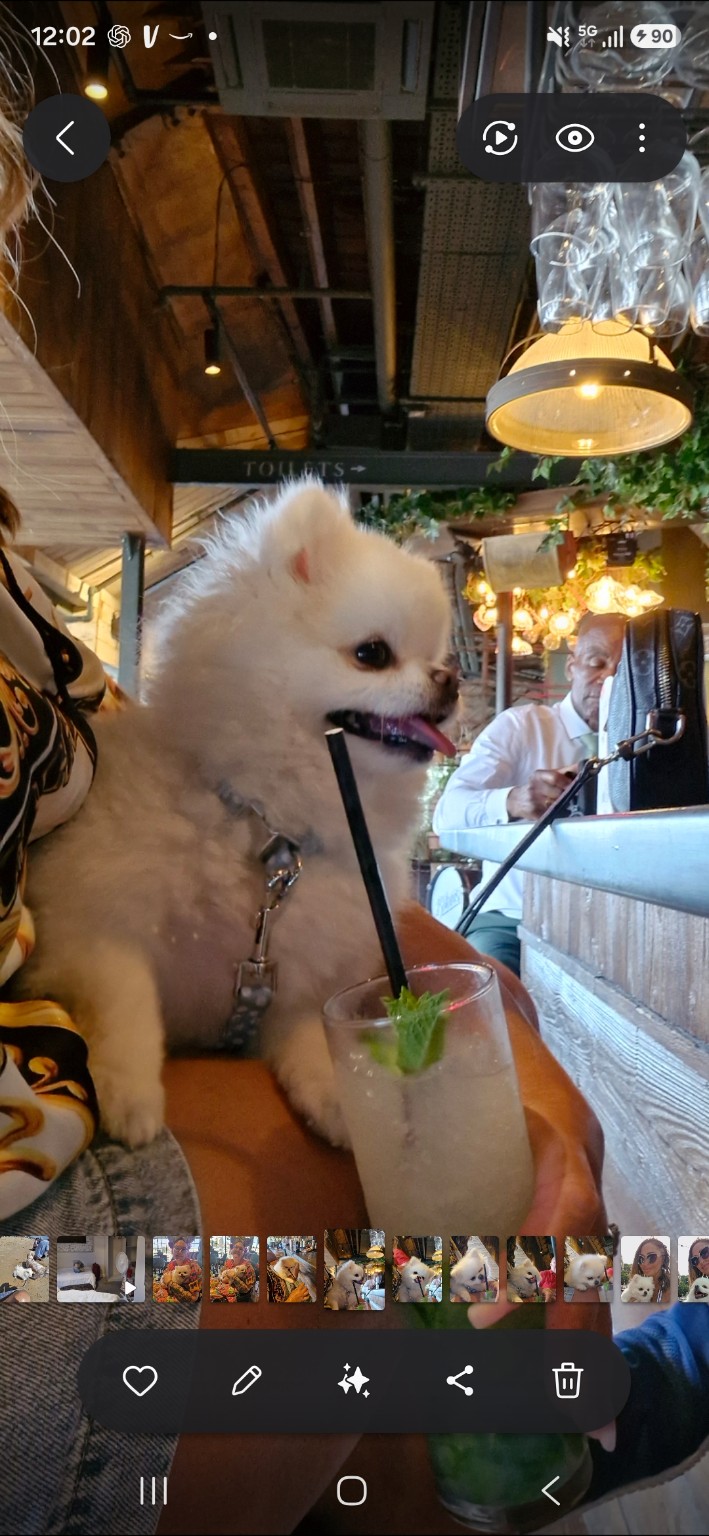 Miso Cute