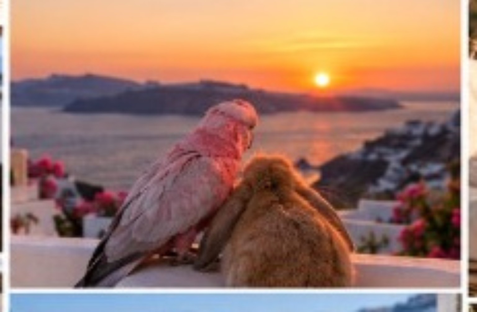 Richie and Pi watching the sunset